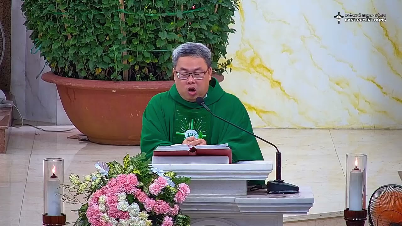 Bài Giảng Cha Phaolo Martino Trần Hoàng Khoa Nam || Chúa Nhật VI Thường Niên Năm A || 15.02.2026.