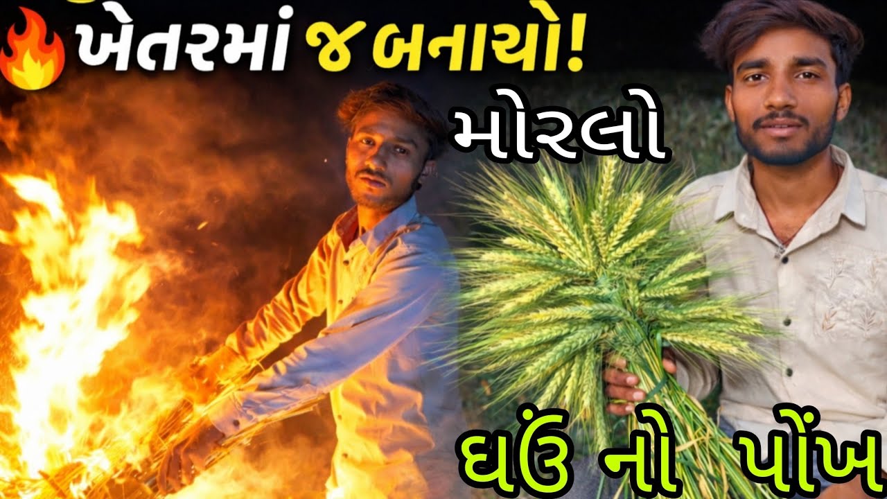 ઘઉં નો મોરલો | ગામડાની પરંપરા અને સ્વાદ4️⃣ ઘઉં નો મોરલો બનાવવાની સંપૂર્ણ રીત/કાચા ઘઉં નો સ્વાદ