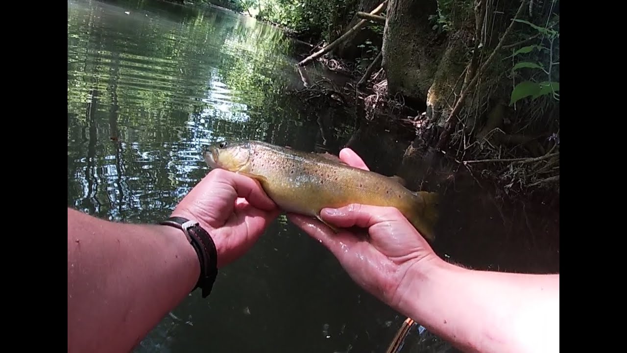 P&ecirc;che Normandie 2
