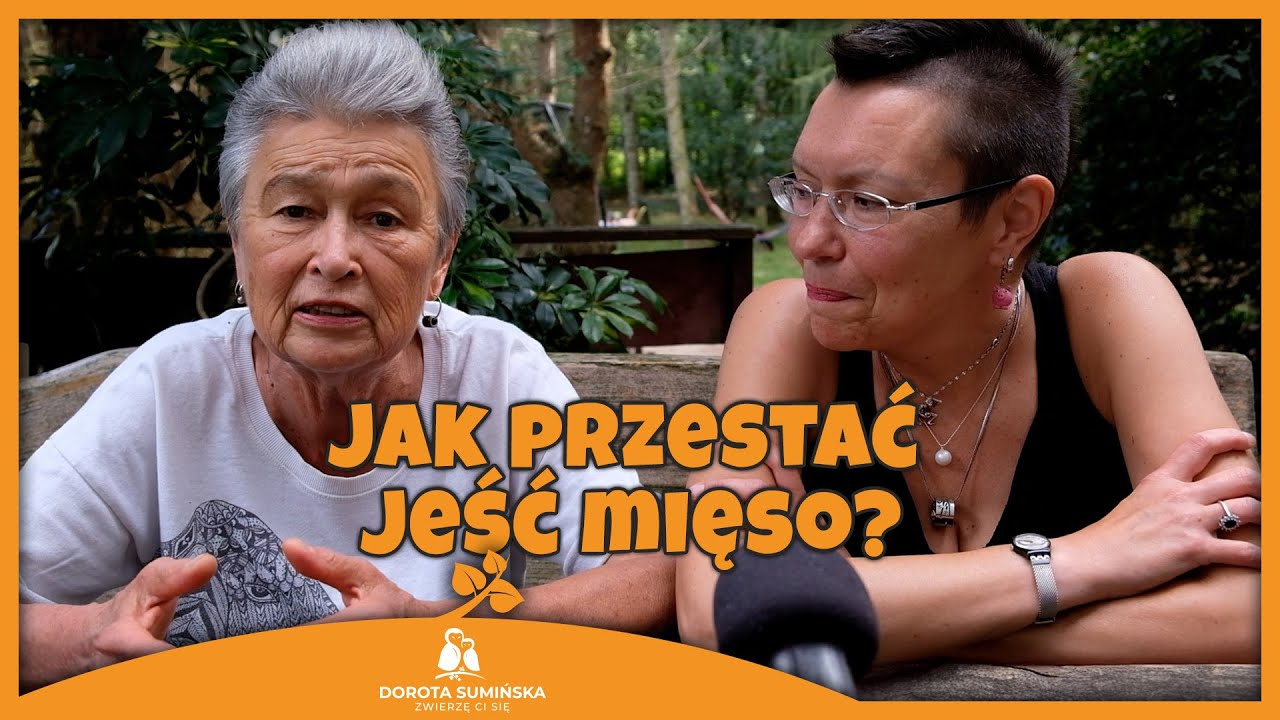 PORADNIK #16: Jak przestać jeść mięso?