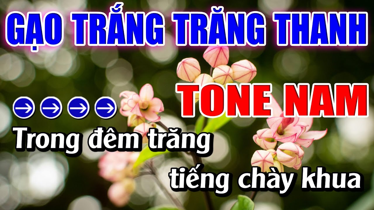 Gạo Trắng Trăng Thanh Karaoke Tone Nam ( D#m ) Karaoke Lâm Beat - Beat Mới
