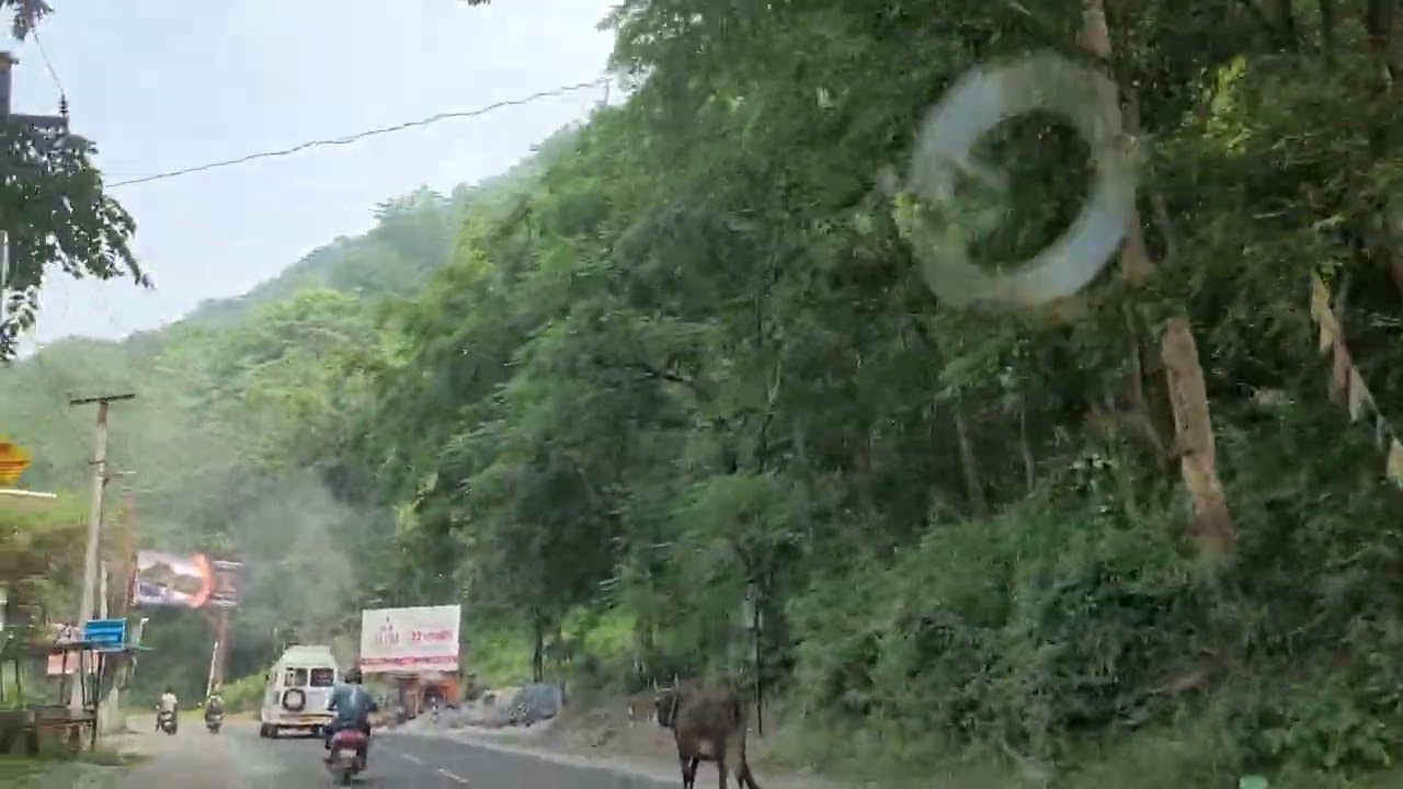 #roadtrip#Dehradun#rishikesh#mussoorie#youtube#trending#travel#ytshorts#trendingshorts#nature