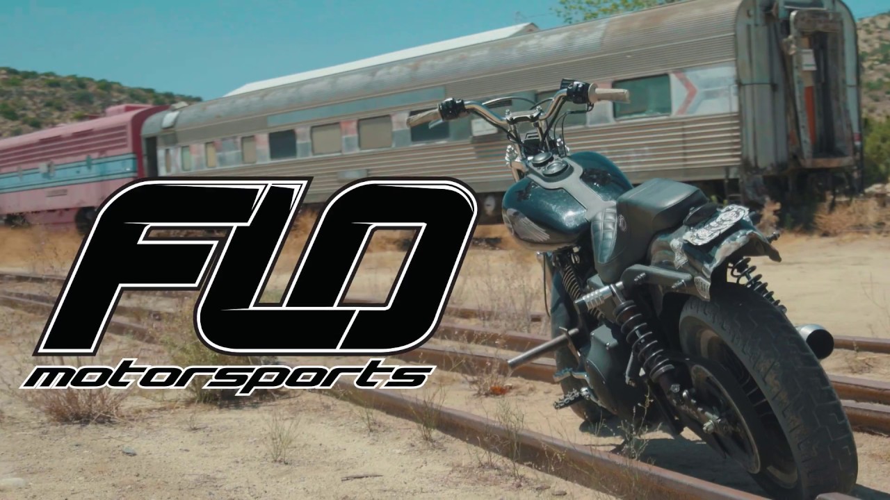 Harley Wheelie Flo Motorsports V3 Pegs intro