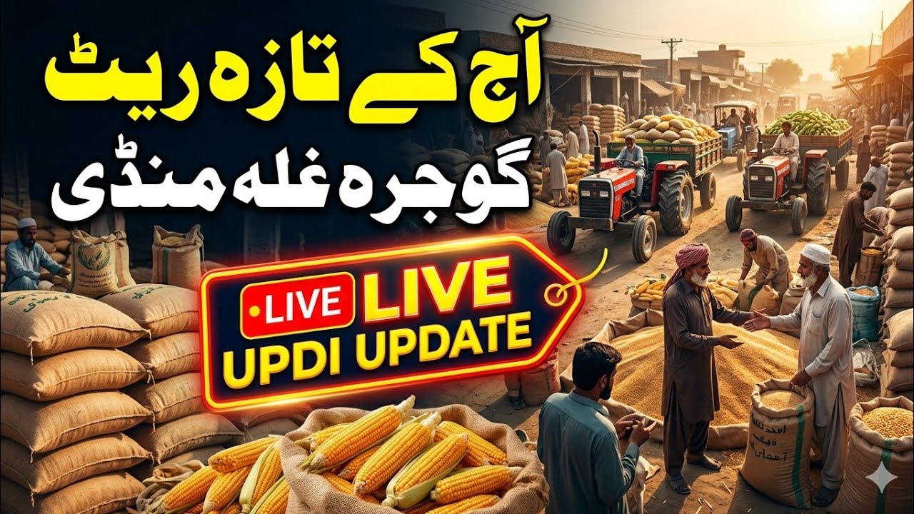 Gojra Grain Market Today Rates | Gojra Ghalla Mandi Rate Today | Wheat, Maize, Corn Crop Update 2026