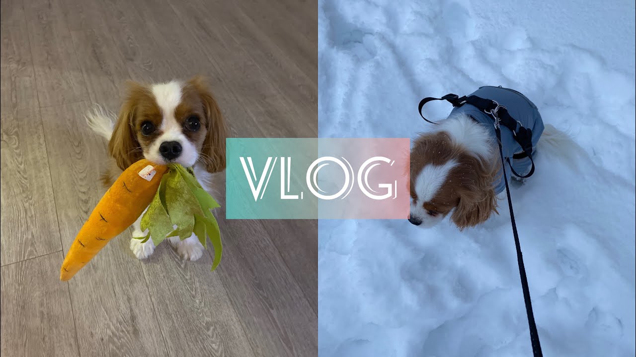 VLOG 18: Перемены в доме | Вечерняя рутина