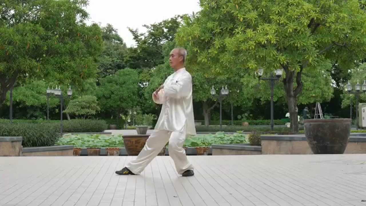 1 lan que wei 揽 雀 尾