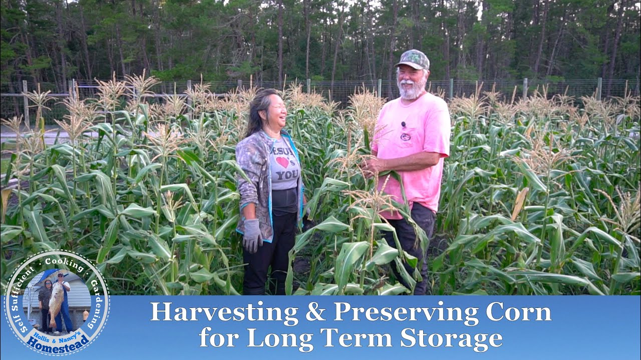 How to Preserve Corn for Long Term Storage