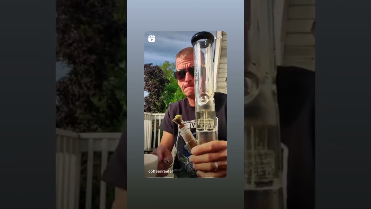 Daily Hits from the Bong - Phoenix Star Percolator Bong