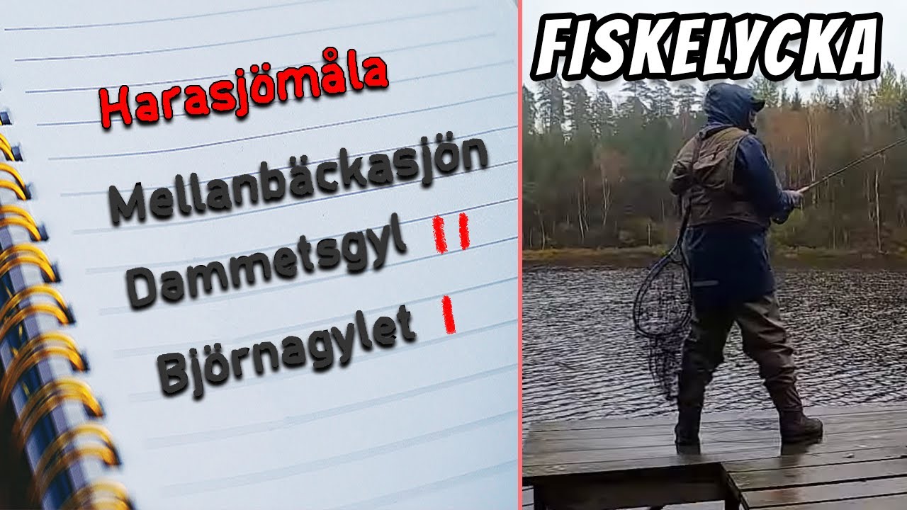 Uppdrag! F&aring;nga 2 Fiskar i Varje Flugsj&ouml; | Fiskelycka