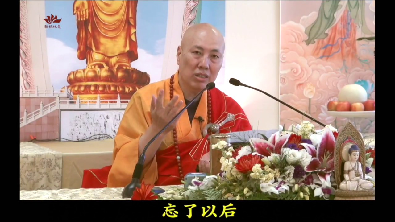 第09集 憶佛念佛 必定見佛《大安法師微課堂-第2部》