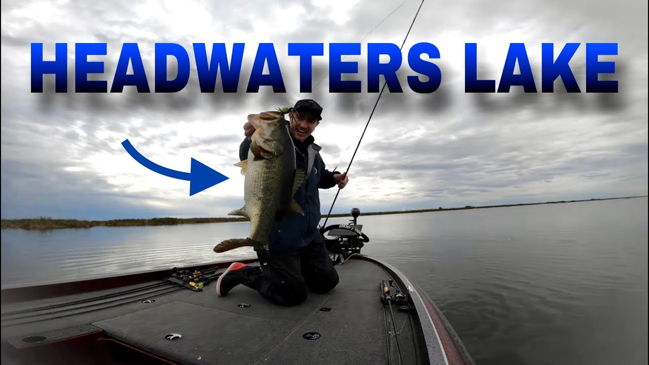 Florida Bass Fishing Is INSANE!!! ll Headwaters Lake