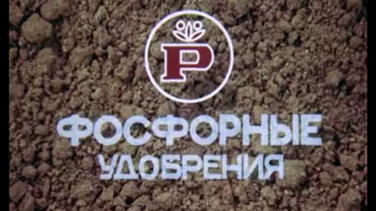 Фосфор и Фосфорные удобрения