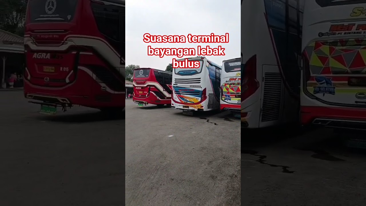 Bus  Bus. Antar Kota