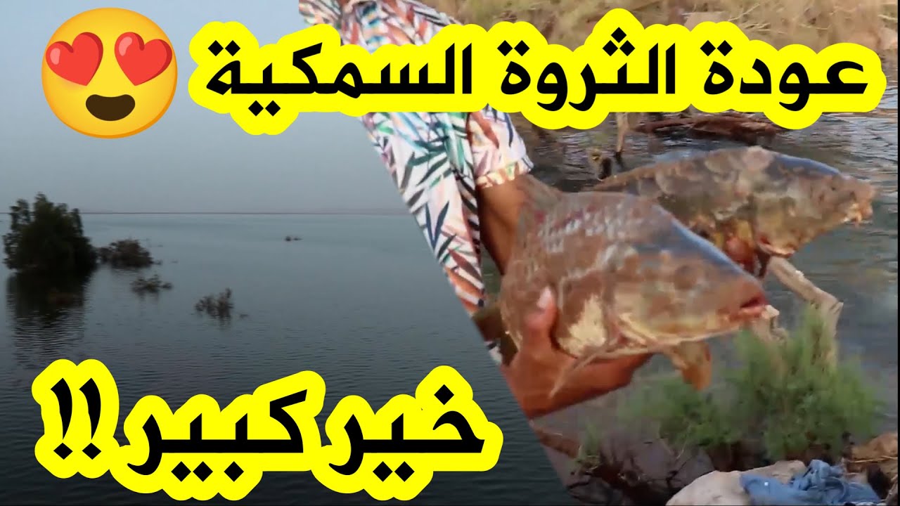 بعد جفاف دام لسنوات🥺💔...سد جرف التربة بولاية بشار يواصل التدفق😍🐋
