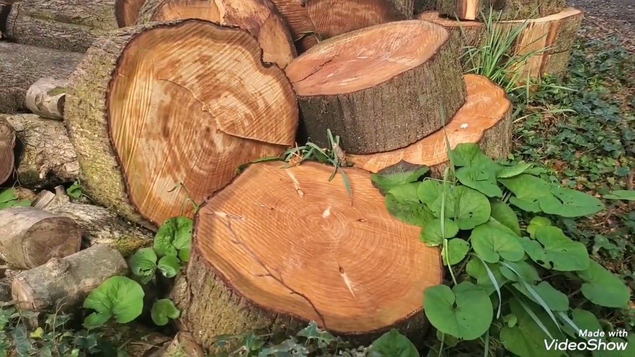 Spring visit to St. Loy