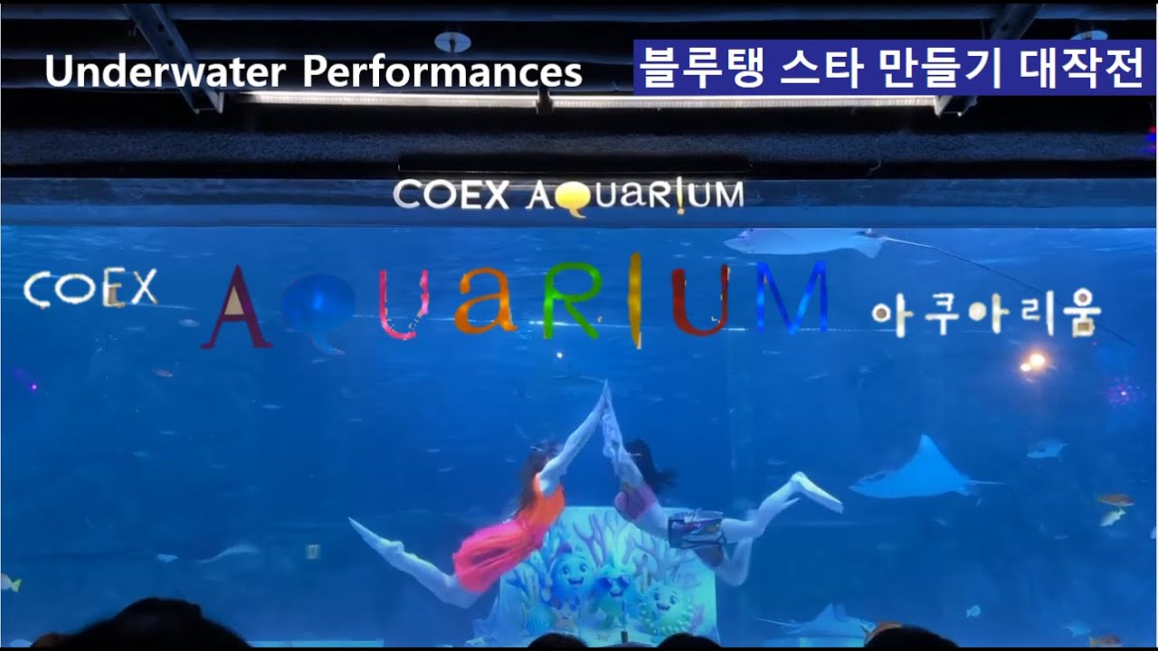 [코엑스 아쿠아리움] 새로운 인어공주쇼 🦈🐡🐠 인어공주쇼🧜‍♀️ coex aquarium