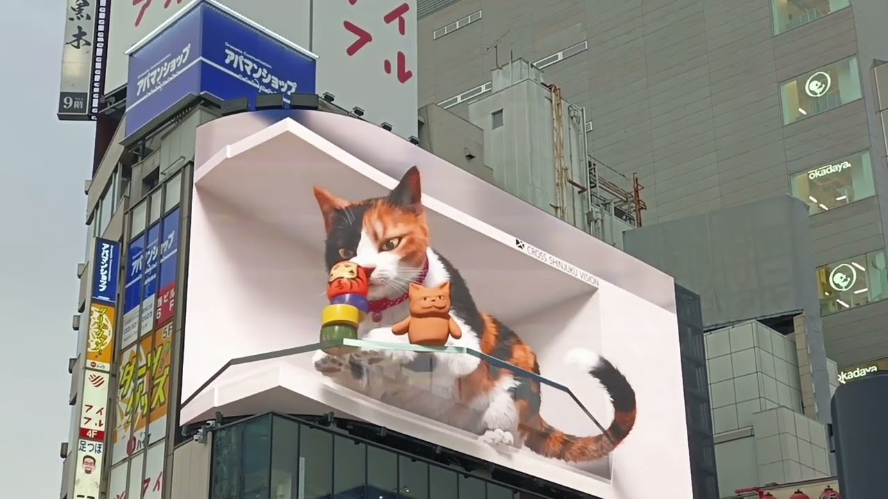 2025/5/15~日本🇯🇵新宿東口の貓