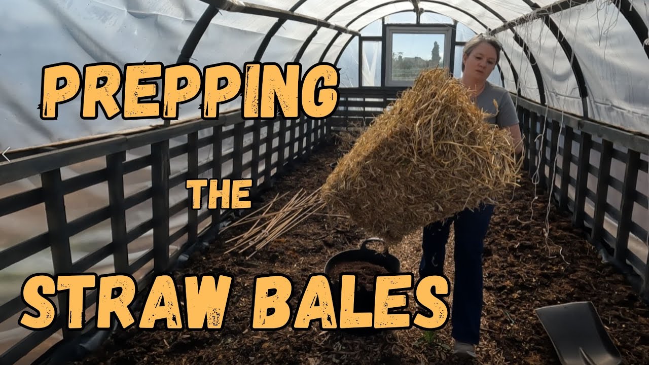 Straw Bale Gardening: The Simple, Cheap Way to Grow More Food