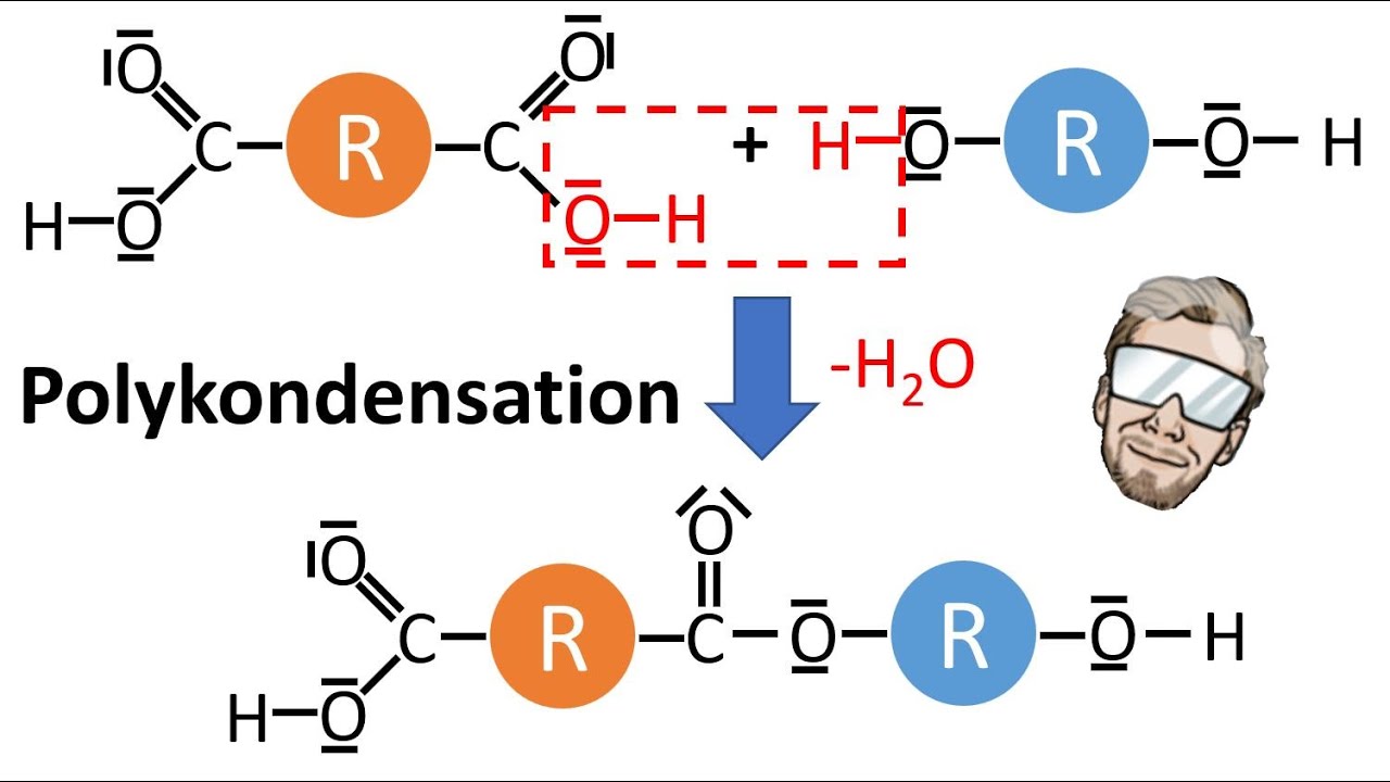 Polykondensation - Polyester Polyamid Polycarbonat | Chemie Endlich Verstehen