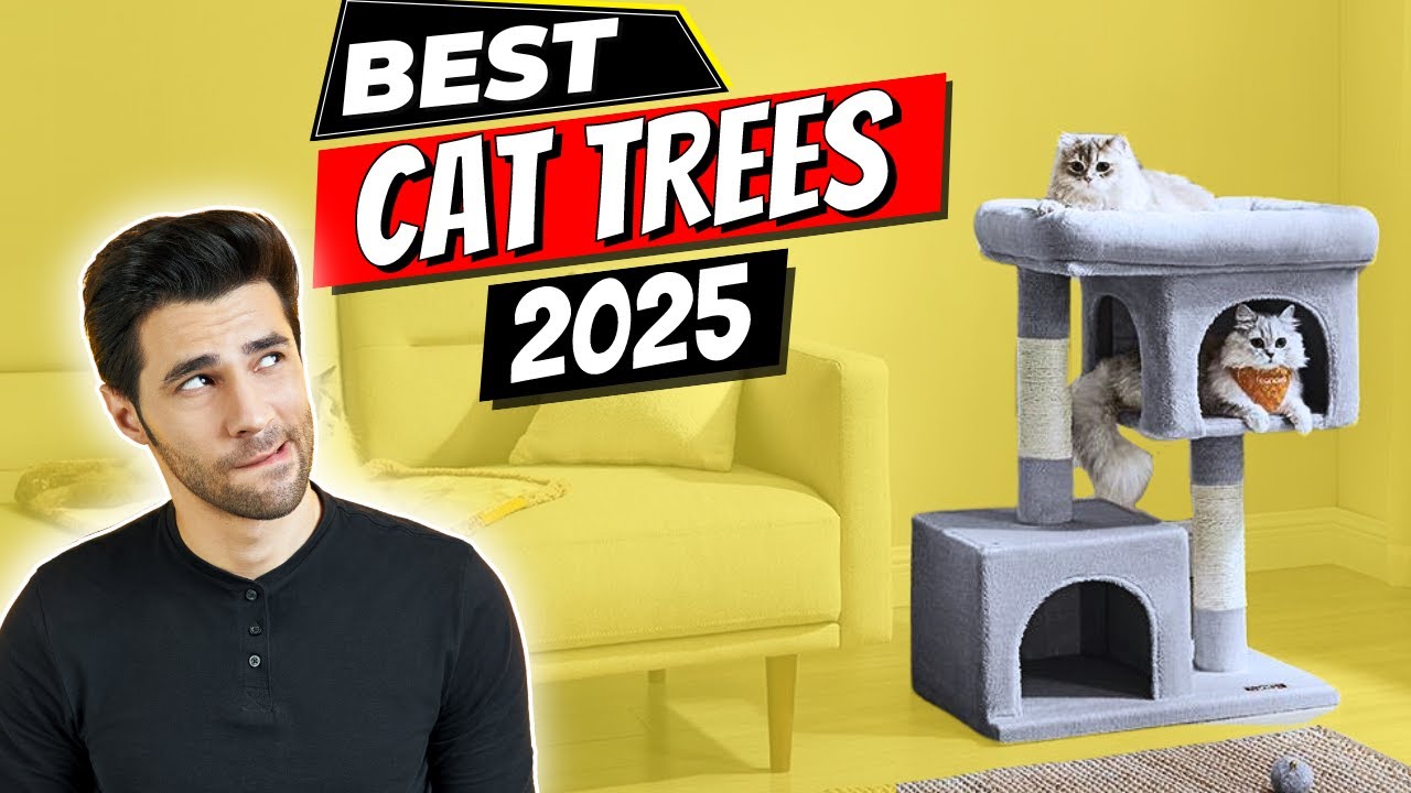The 8 Best Cat Trees of 2025 | Want the Purrfect Cat Tree? Watch This Now!