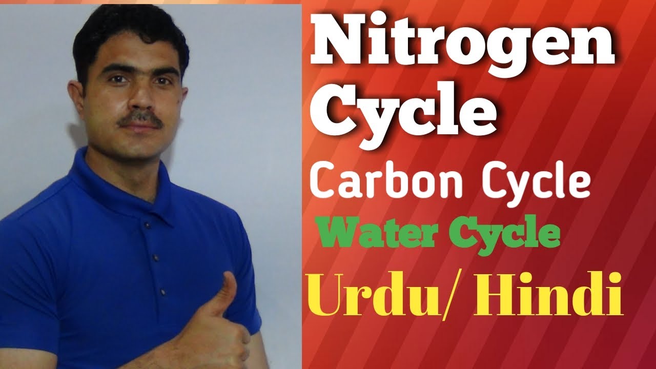 L-2 Nitrogen cycle, Carbon cycle and Water cycle