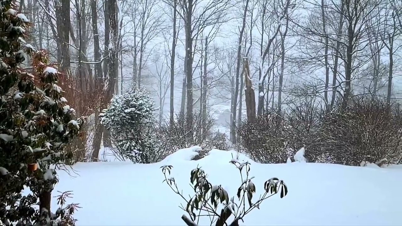 Yi-Wen plays Irving Berlin: White Christmas, transcribed by Jascha Heifetz. #christmas #クリスマス #크리스마스