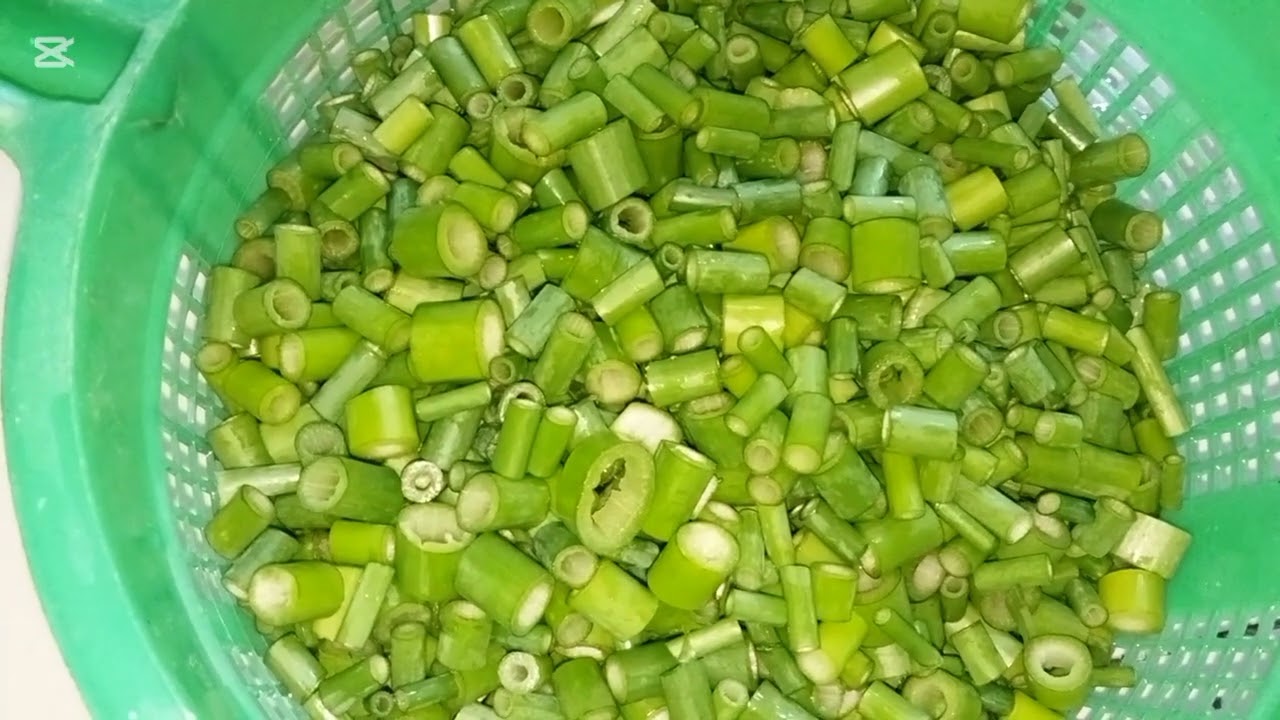 বাজার থেকে কি কি বাজার করলাম আর কি কি রান্না করলাম #bangladesh #recipe #cooking #bangalivlog 