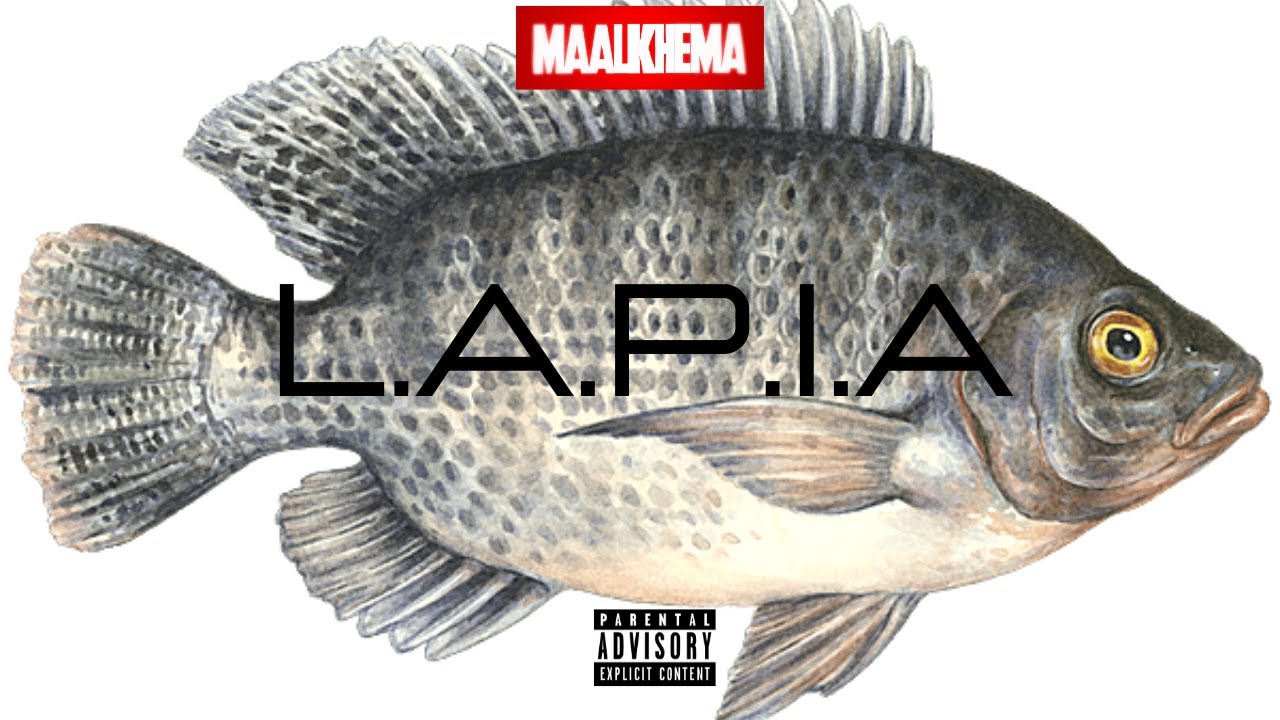Maalkhema -   L. A. P. I. A  Feat Joblow , Natoo, Neg Lyrical  , Catinayah  & Edson X