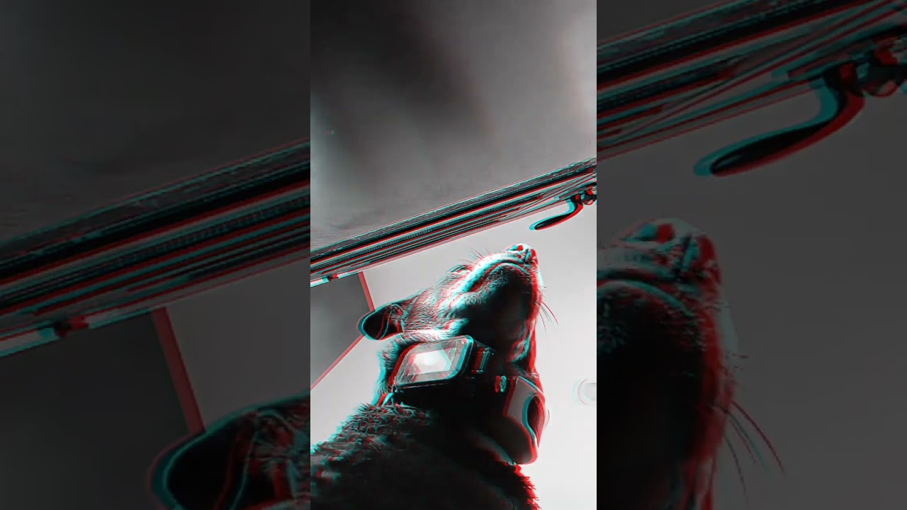 #rap