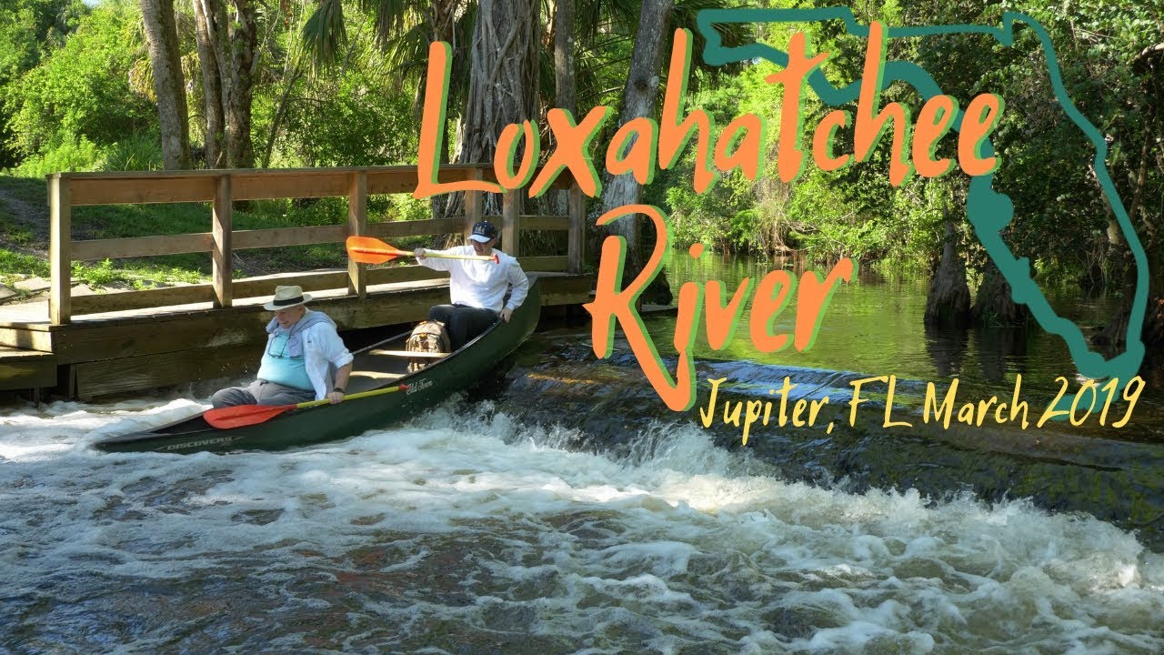 Loxahatchee River Canoe Riverbend Park to Jonathan Dickinson State Park