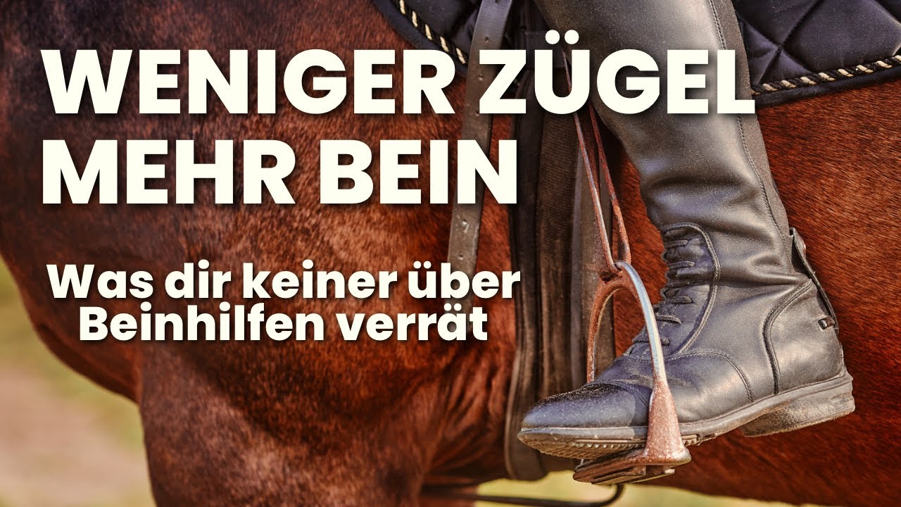 Reiten mit Gefühl: So nutzt du deine Beinhilfen wirklich effektiv 🏇 mit Tipps, die du nicht kennst!