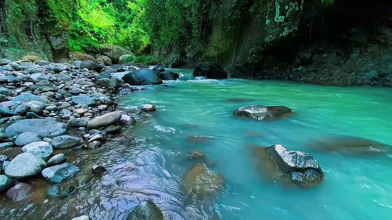 Forest River Flowing Water, Mountain Stream Audio, Sleeping