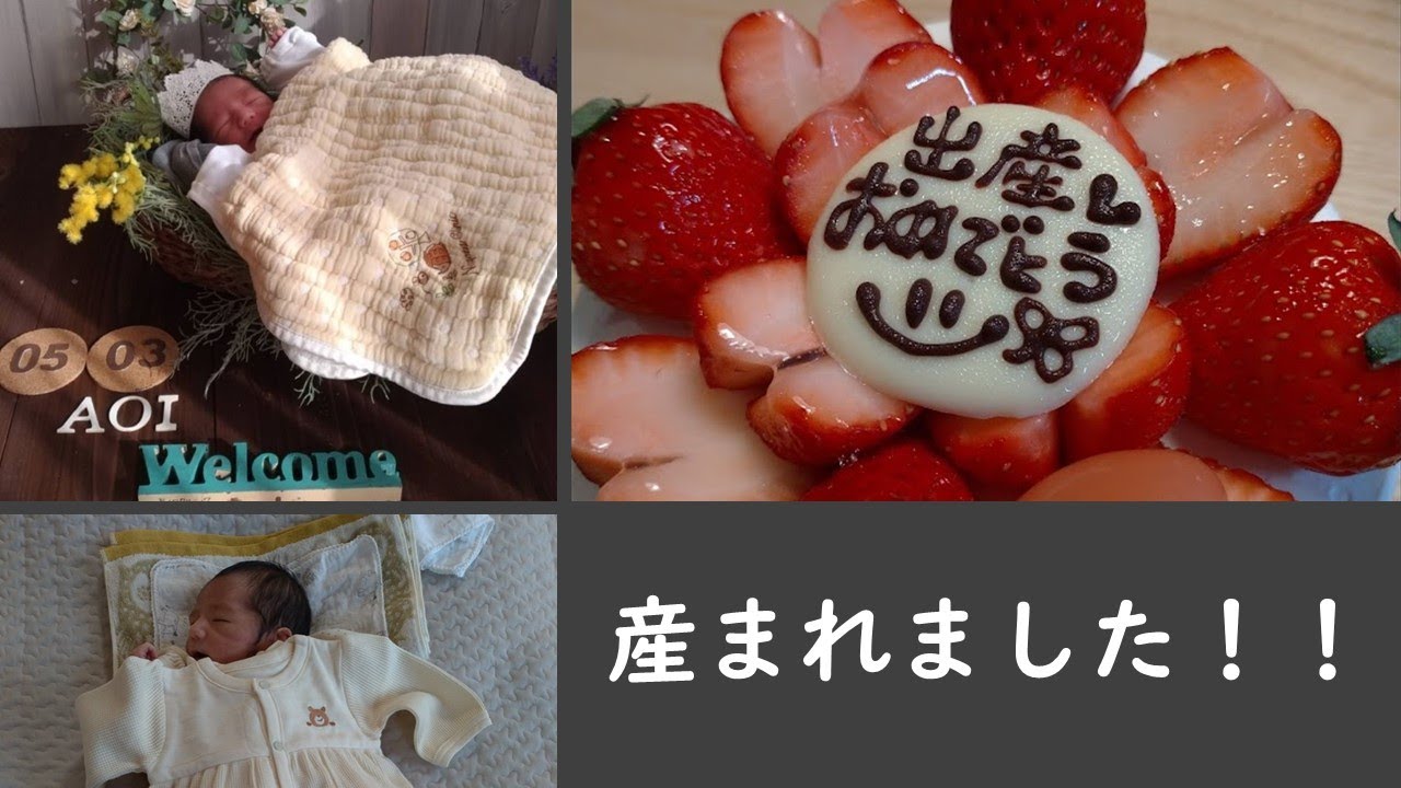 【あお、ときどき、くぅ。】 　子育て＆ネコ日記　A day of  baby boy and cat