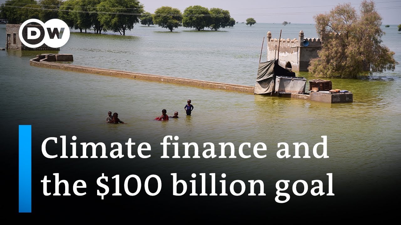 Pakistan needs billions to rebuild after flooding | DW News