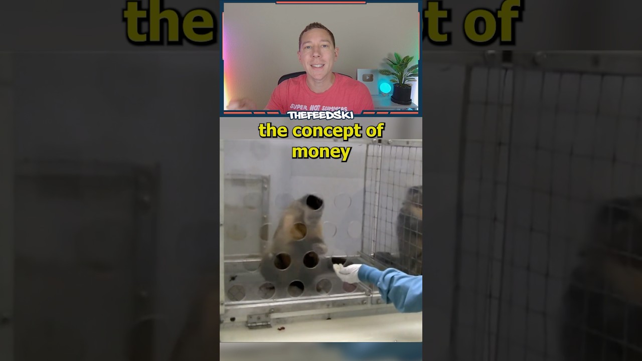 Teaching Monkeys To Use Money Backfired!