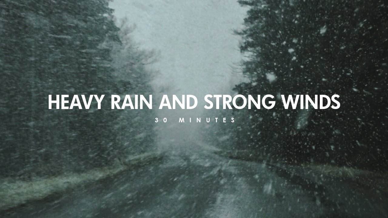Heavy Rain & Strong Wind Sounds For Sleeping/Relaxation - 30 Minutes