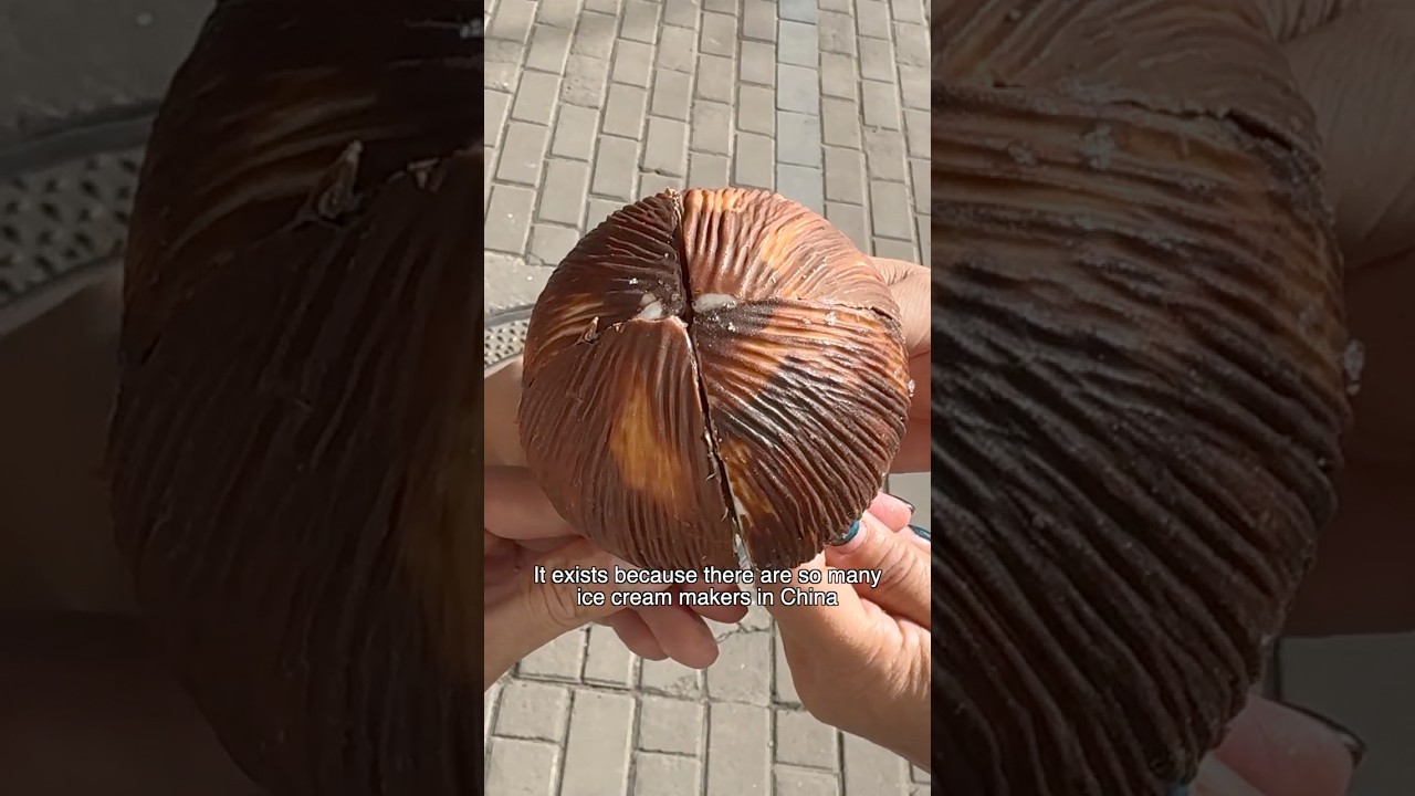 I tried the most UNIQUE ice cream in China 🇨🇳🥥