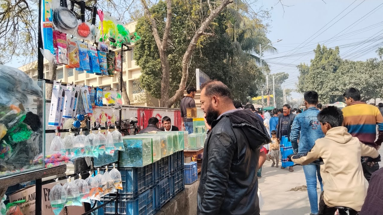 Part:2 Aquarium Price In Bangladesh🔥Aquarium Fish Price In Bangladesh😱 Aquarium Fish Price In Khulna