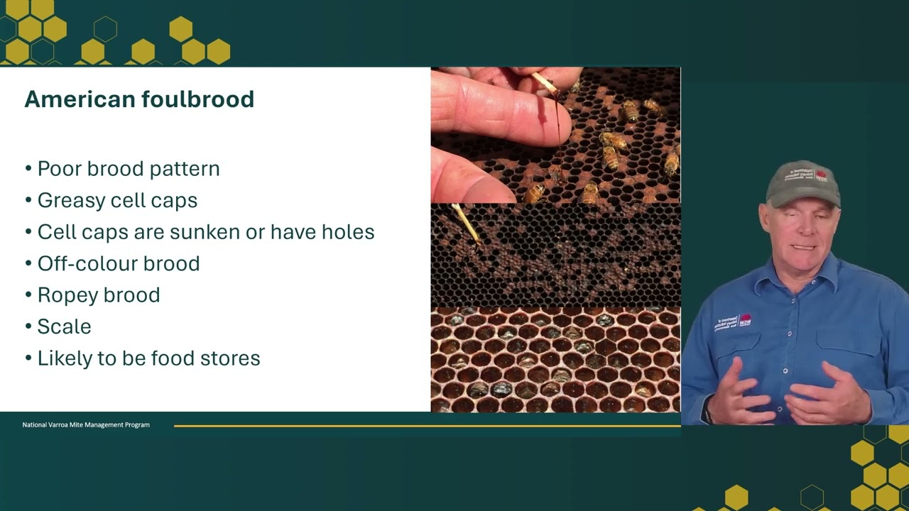 Slime out, poising or Varroa with Dave Fairhall
