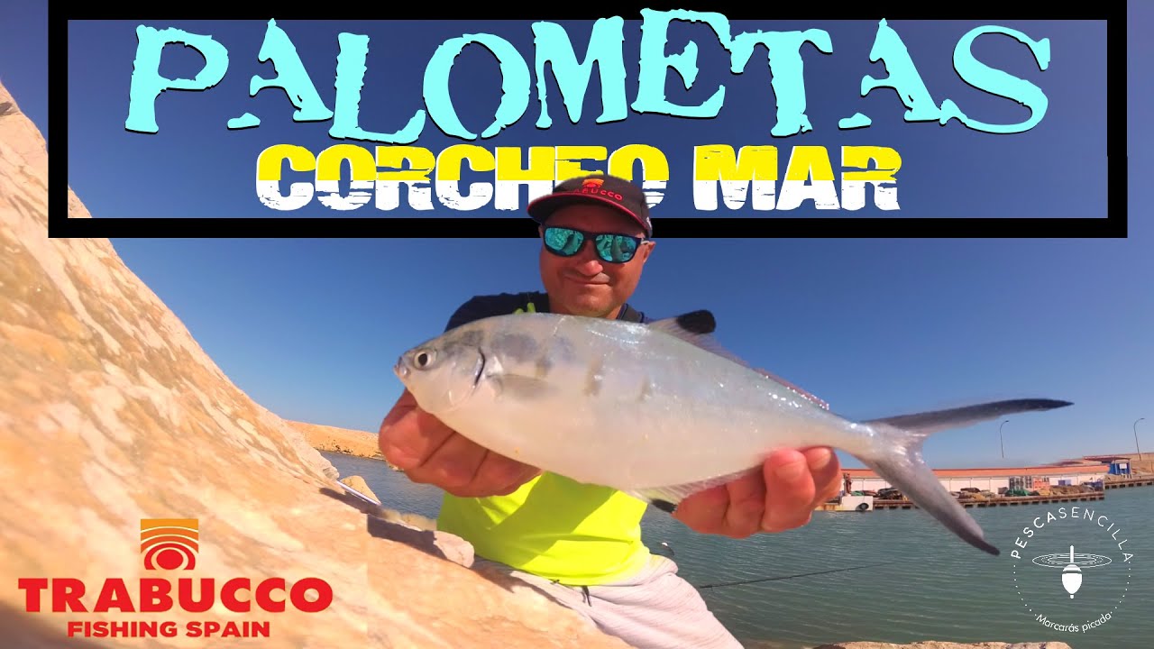 Corcheo Mar : Jornada pesca a la Boloñesa . Pescando palometas.