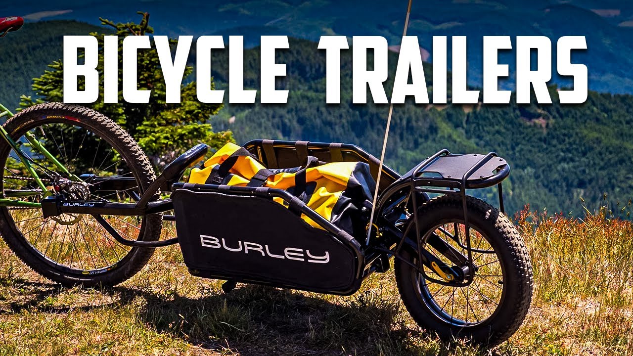 5 Best Bicycle Trailers You Should Check Out