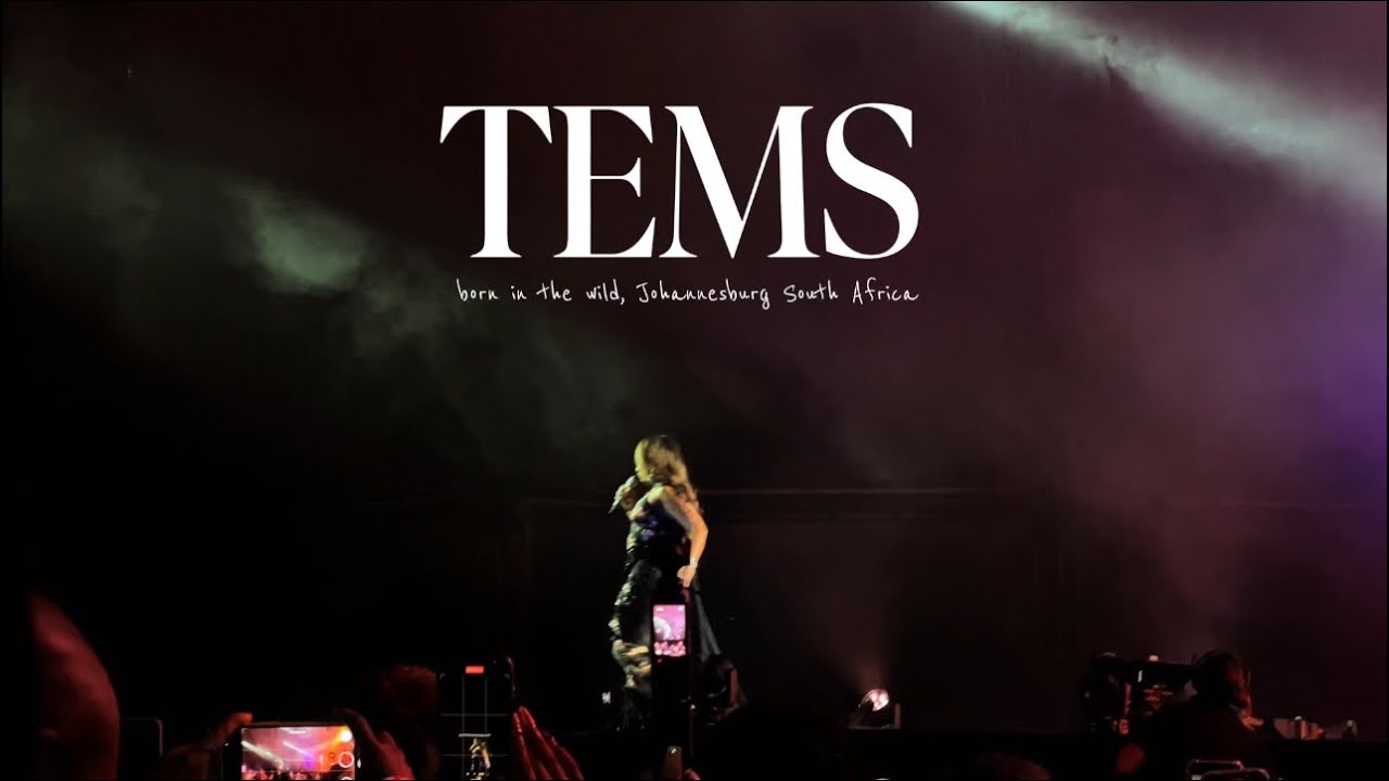 Tems concert in South Africa | Entry no. 14 | we had a tiiiiiime!