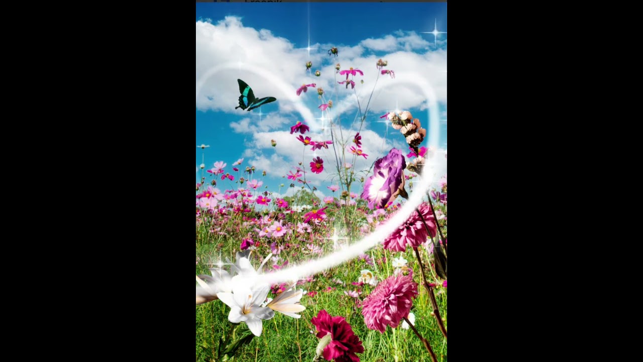 Amor de primavera #music #cr7 
