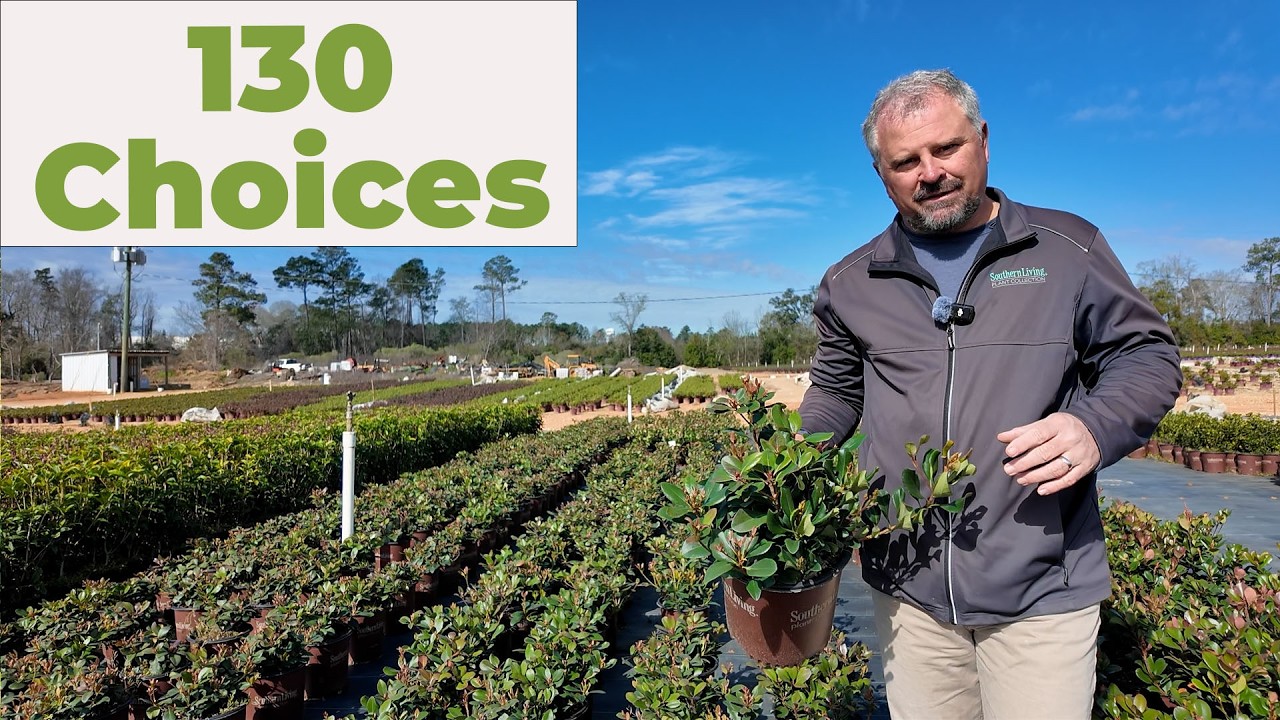 130 Fabulous Foundation Plants: Low, Upright, Flowering & Evergreen
