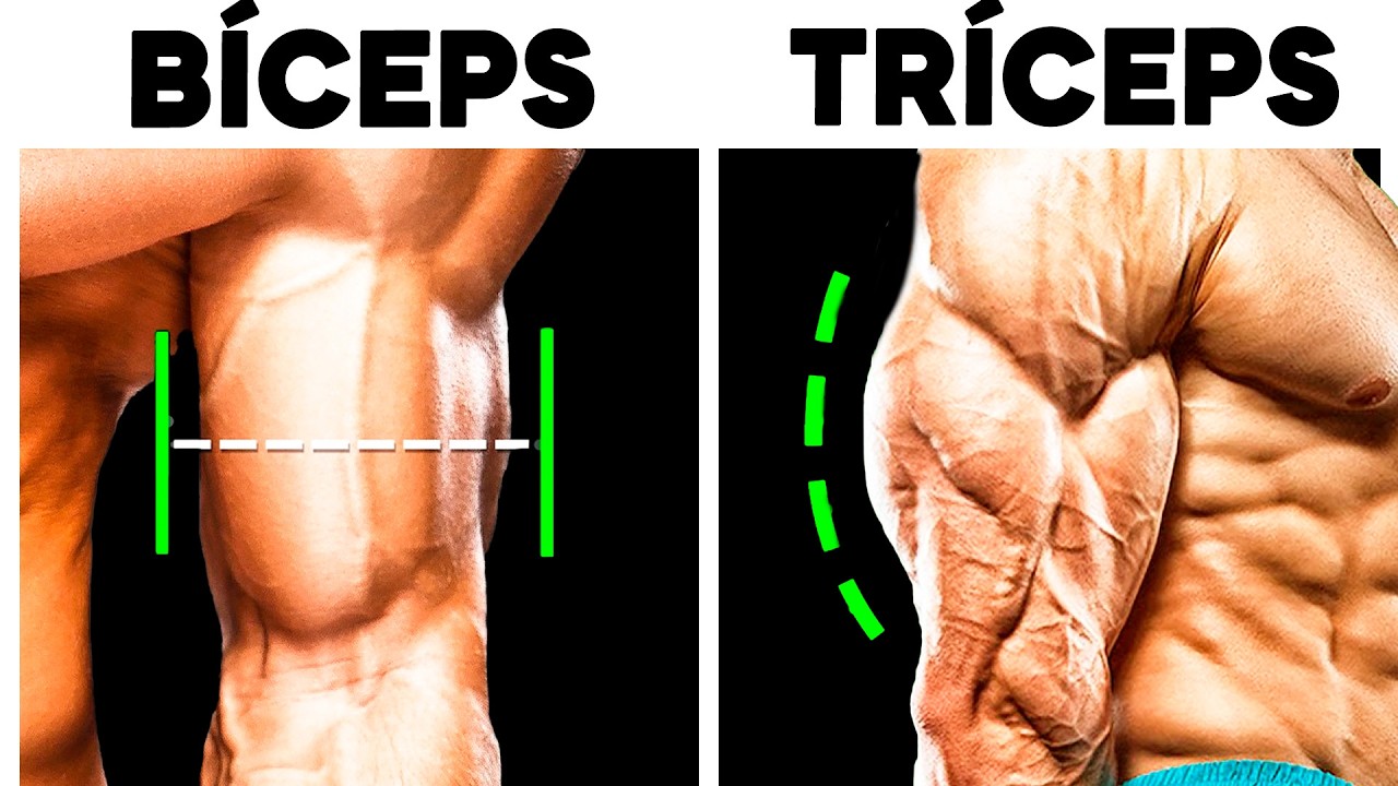 Treino para Ficar com o Braço Grande Muito RÁPIDO!