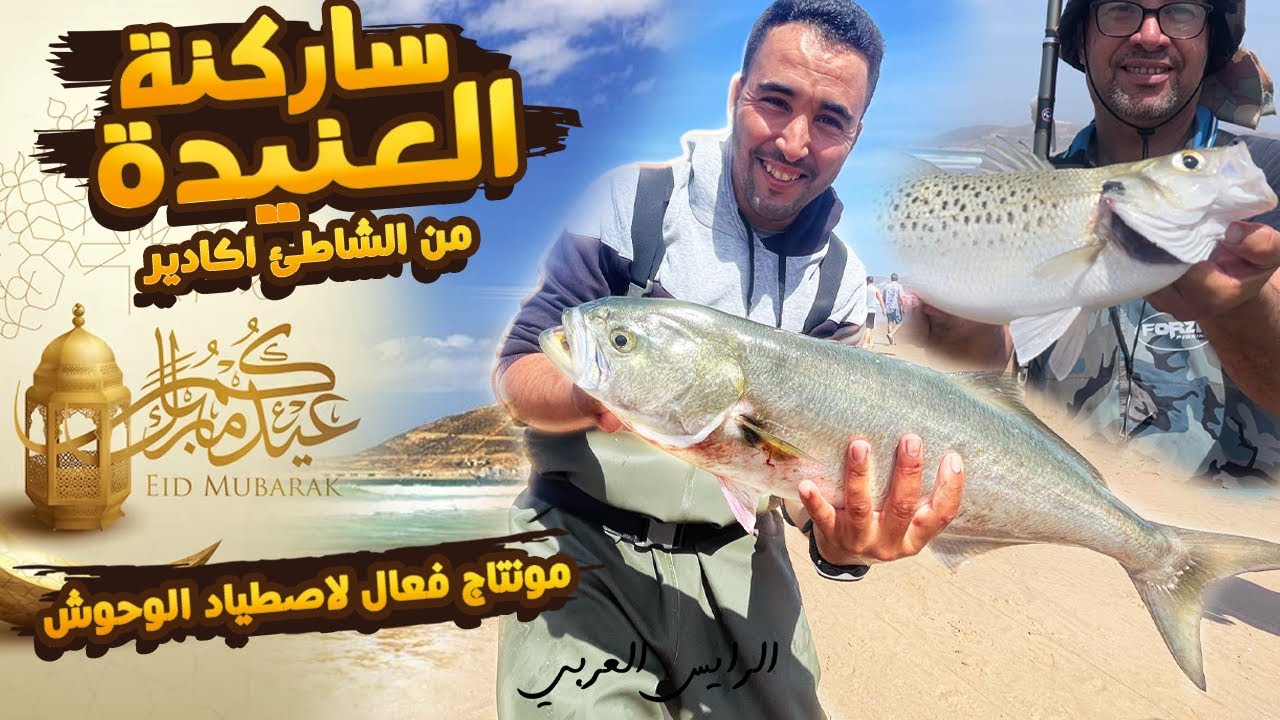 مونتاج فعال لاصطياد الوحوش من الشاطئ مع الرايس العربي