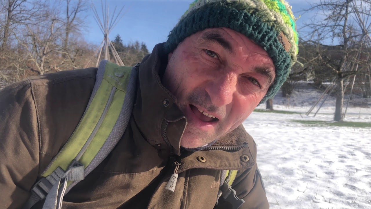 Tierspuren im Schnee
