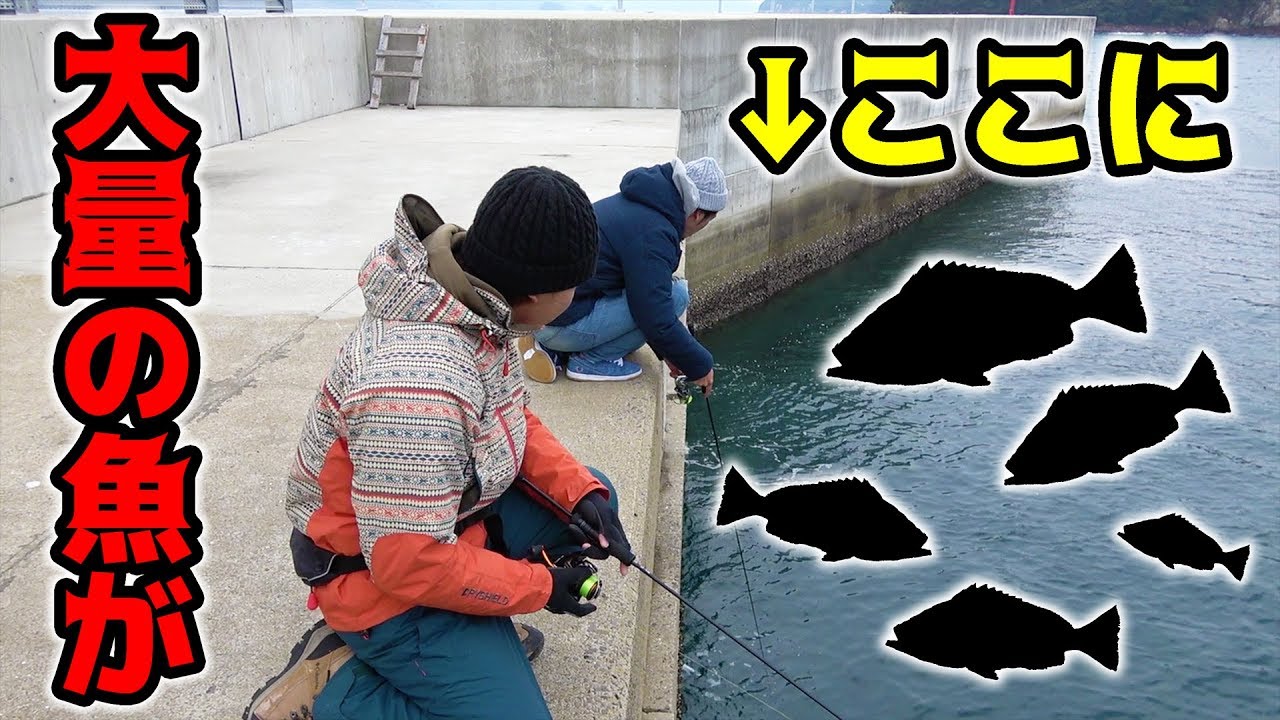 足元に集まっている大量の魚を狙い釣る！！