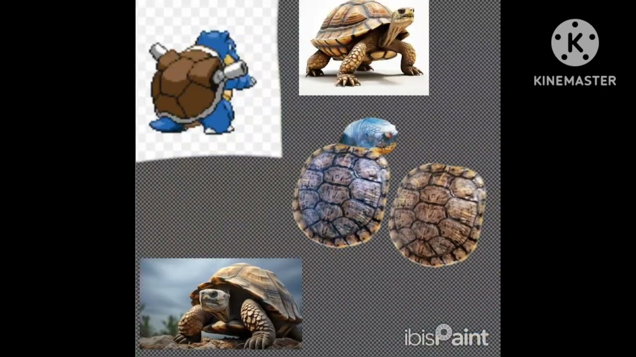 I turn Blastoise 2D sprite into a realistic pokémon sprite