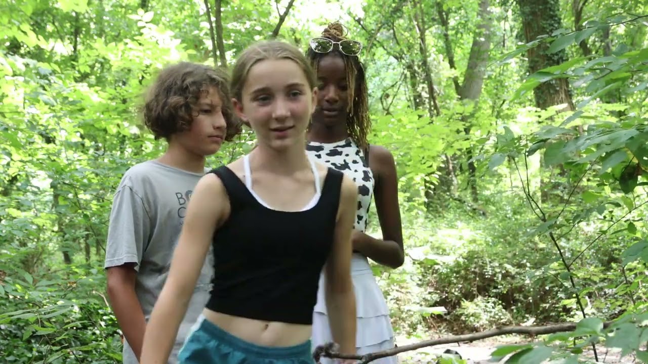 Searching for Bigfoot